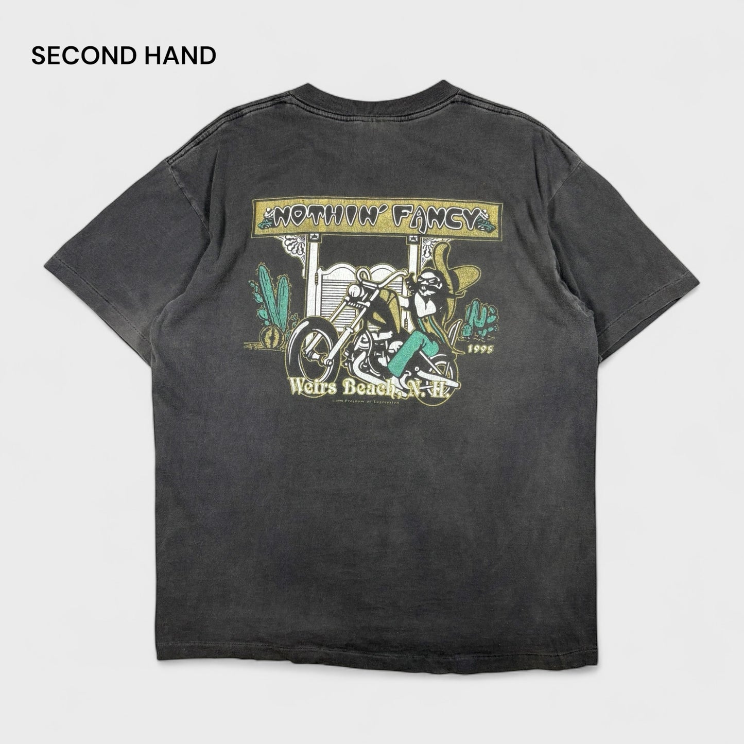 Nothin Fancy Tee (L)