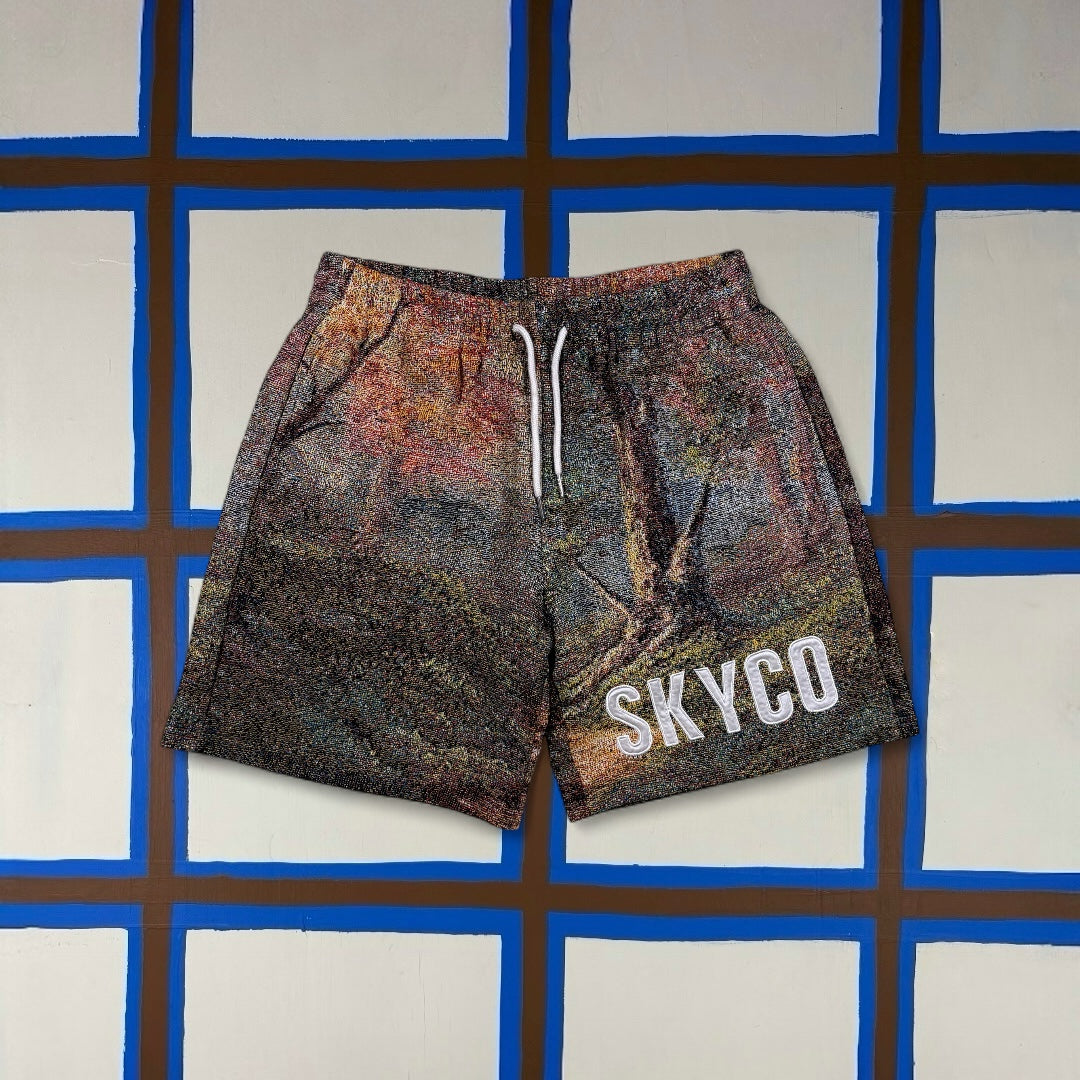 SkyCo Shorts (L)