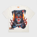 THE BOY WHITE DOG